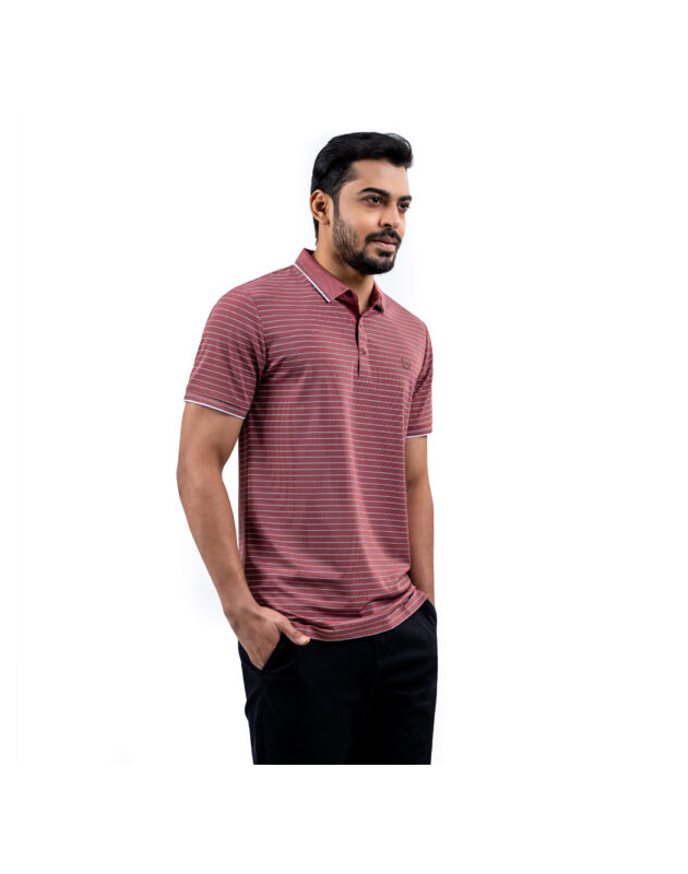 Richman Onion Color Stripe Half Sleeve Polo Shirt