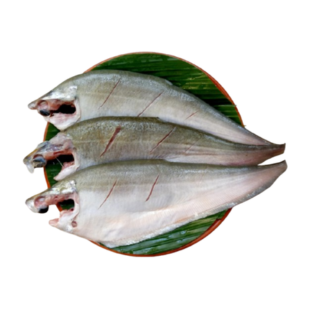 Foly Block 500g