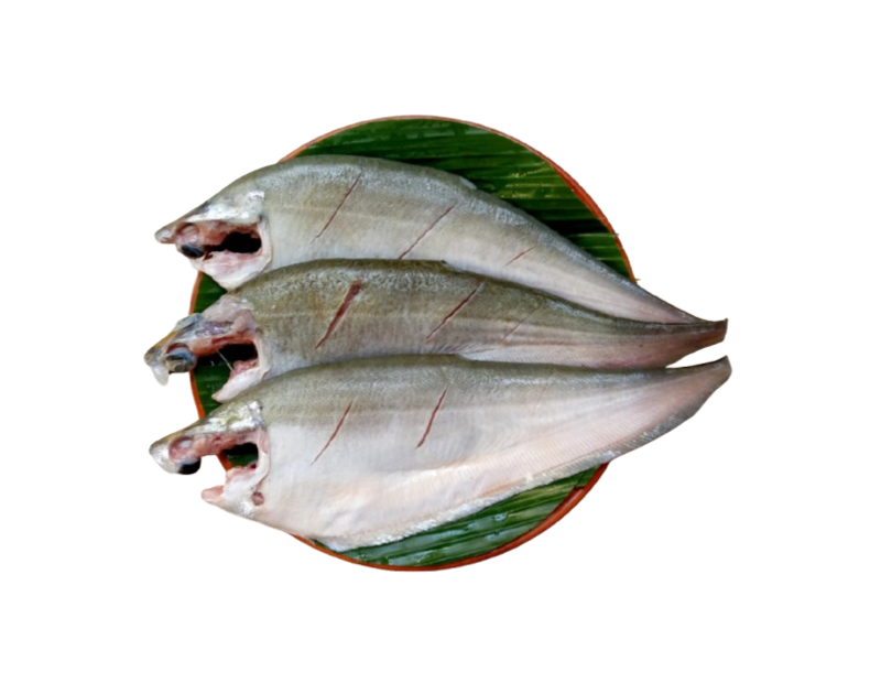Foly Block 500g