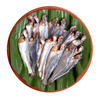 Gulsha  Block 500g