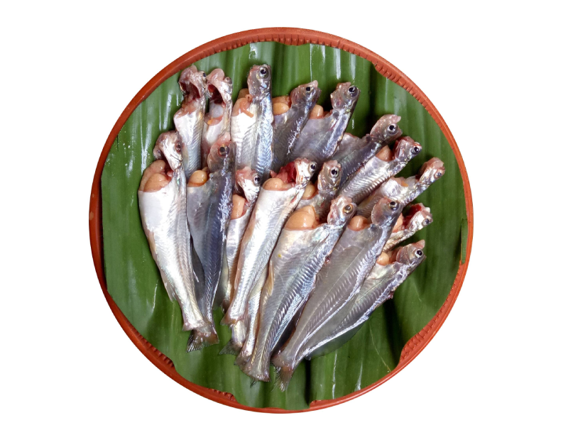 Gulsha  Block 500g