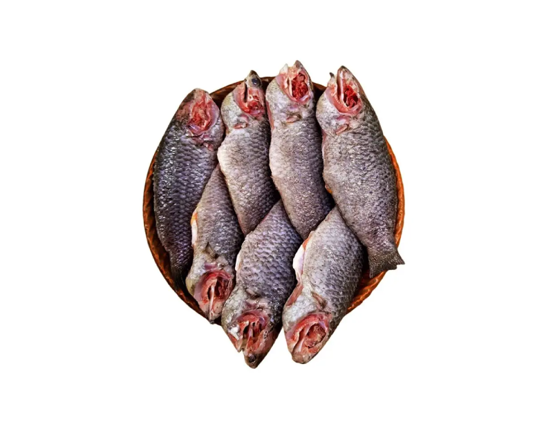 Koi IQF  500gm