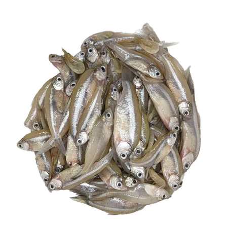 Mola Block 250g