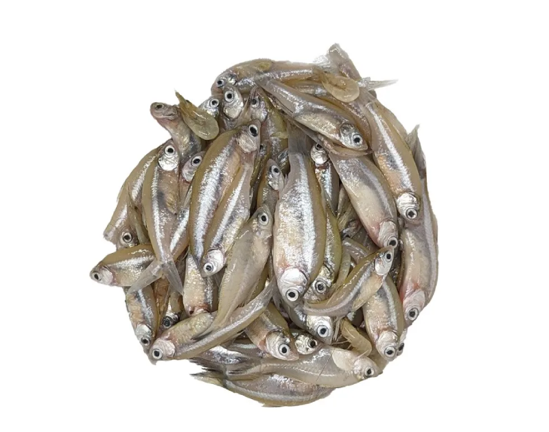 Mola Block 250g