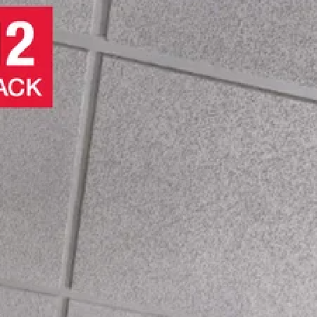 Wexstar Ceiling Tile Water/Fire Resistant 12-pack, Wave
