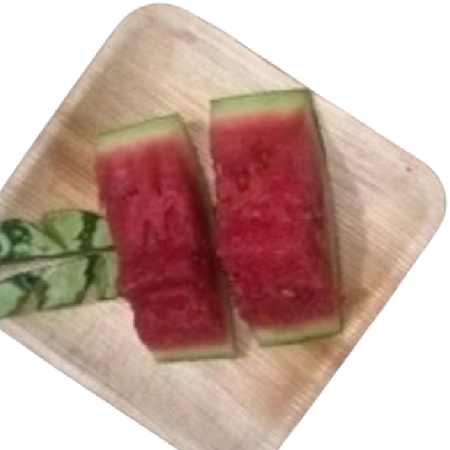 Square flat Eco-friendly Disposable Areca Leaf Plate