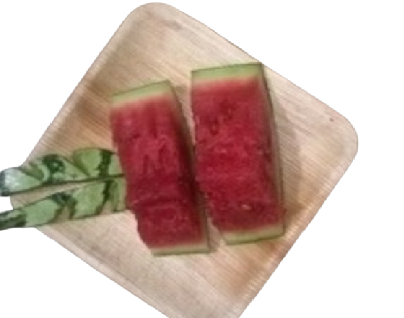 Square flat Eco-friendly Disposable Areca Leaf Plate