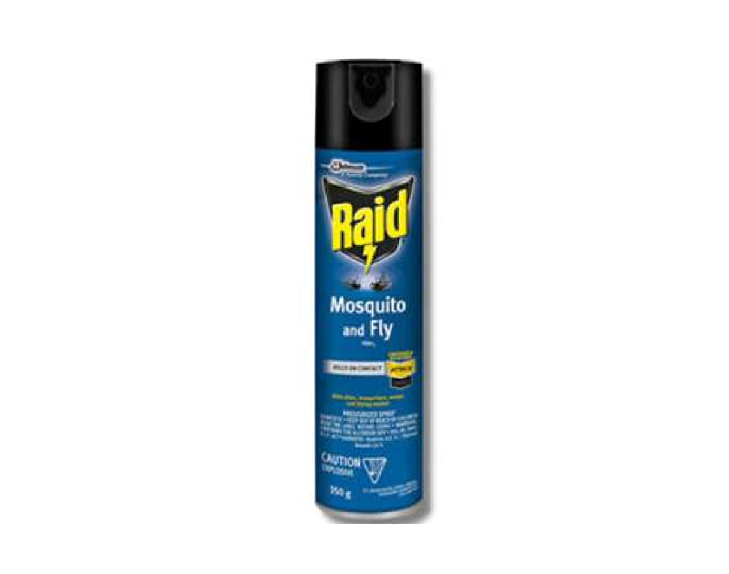 Raid Mosquito & Fly Killer 350g