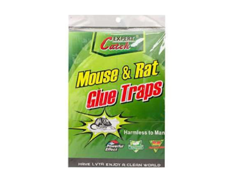 Mouse & Rat Glue Trap 2pcs 7 X 5