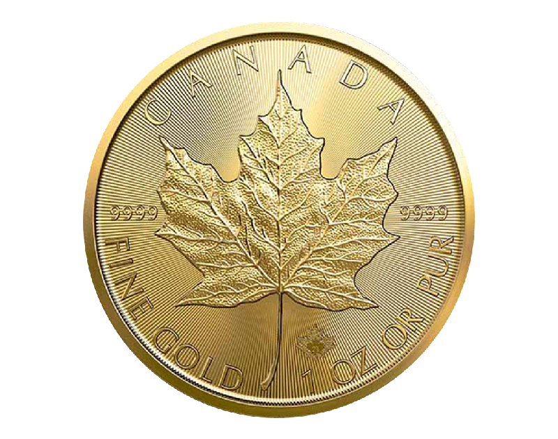 1 oz Canadian Maple Leaf Coin Random Year