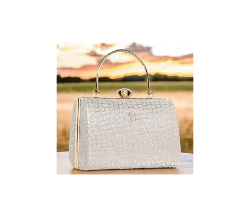 Fancy Unique Women Clutches