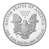 1 oz Silver American Eagle Coin