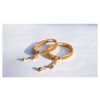 Golden Colored Earring Artificial Ornament