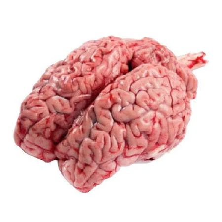 Cow Brain Net Wt 10LB. Gross Wt was 12LB. Less Fat. Halal. Fresh Meat. Professionally Cut & Clean and Froze Instantly to Preserve Best Quality and Taste.