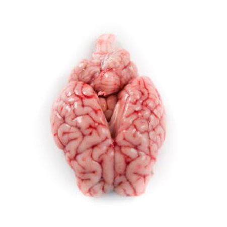 Lamb Brain 10LB Bulk Family Pack Cut & Clean Professionally (Ready to Cook)