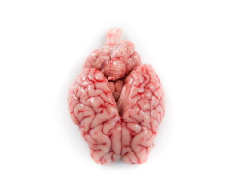Lamb Brain 5LB Bulk Family Pack Cut & Clean Professionally (Ready to Cook)
