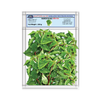 Lazeez Narich Saag 300g