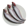 Pabda Block 500g