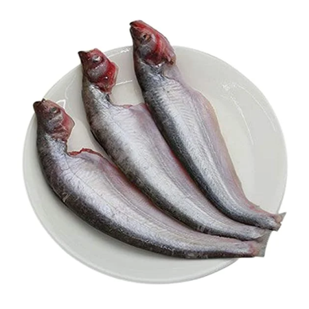 Pabda Block 500g