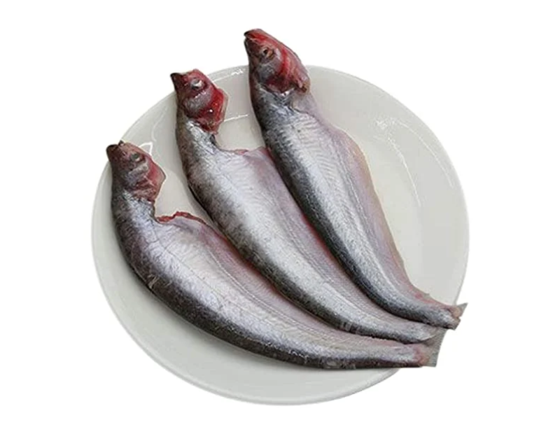 Pabda Block 500g